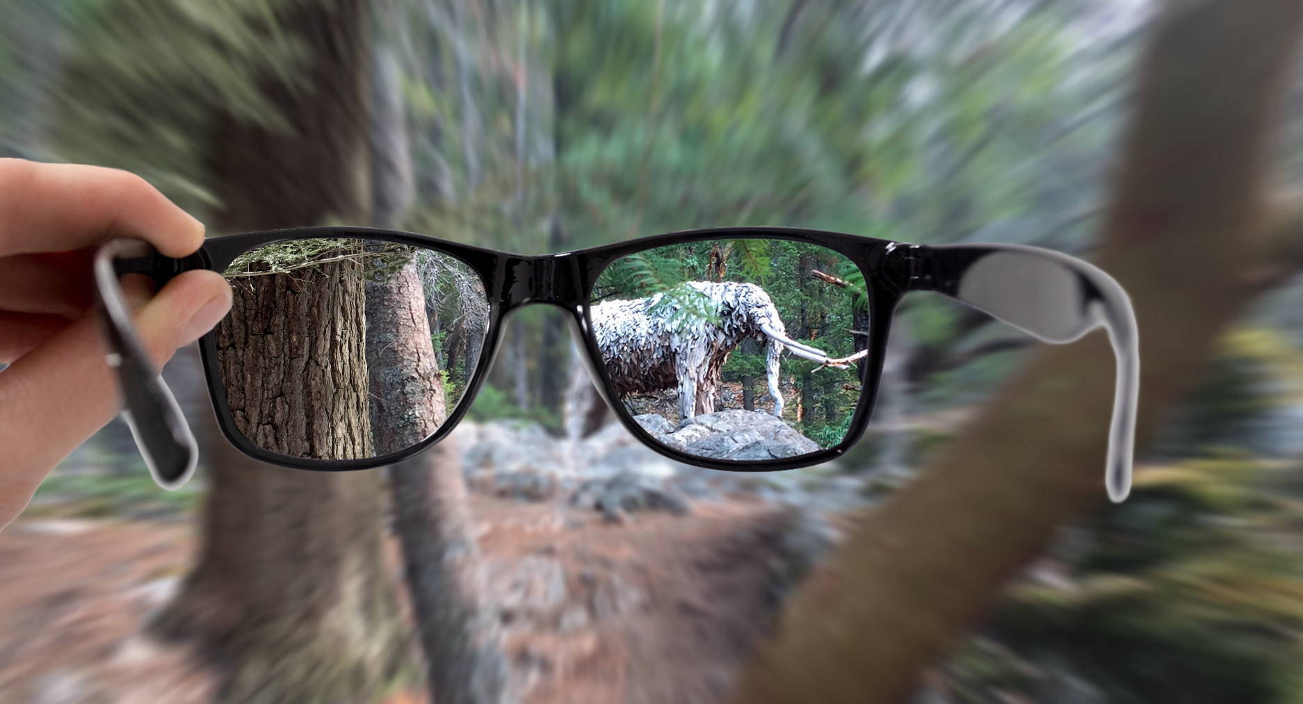 Clarity. Unity. Capacity.